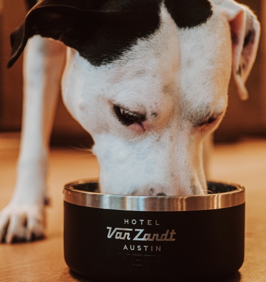 Hotel Van Zandt Dog Bowls