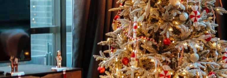 Christmas Suite and Tree