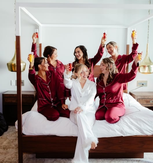 bride and bride's maids