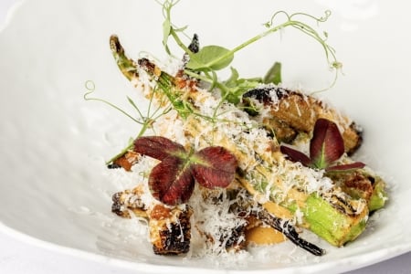 A white plate of grilled asparagus and octopus, garnished with shaved parmesan cheese and microgreens.
