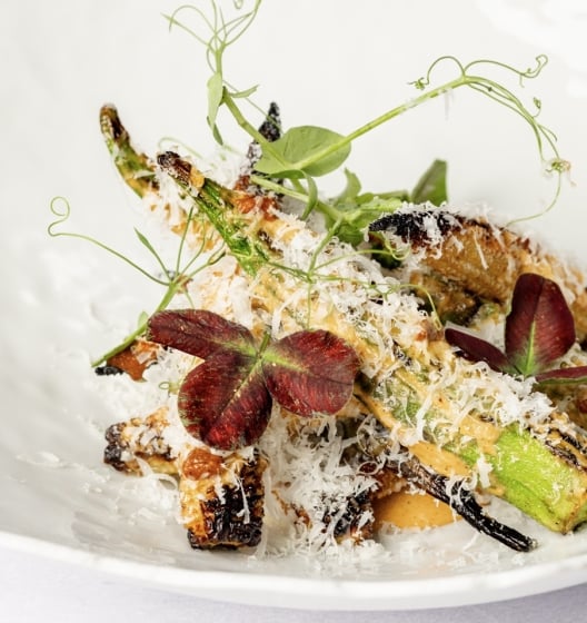A white plate of grilled asparagus and octopus, garnished with shaved parmesan cheese and microgreens.
