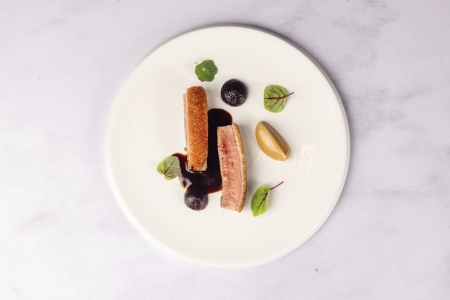 An overhead shot of a dish with seared tuna slices arranged in a vibrant green sauce