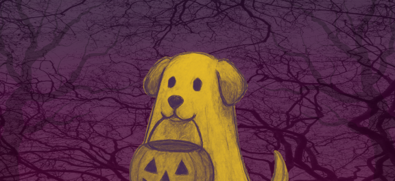 Bewitched at Brass Poppy graphic