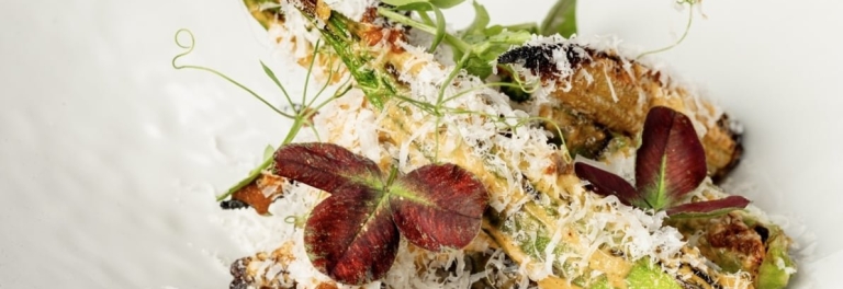 Fine dining bowl with grilled zucchini, shaved Parmesan, romesco sauce, pea tendrils, and burgundy oxalis leaves.